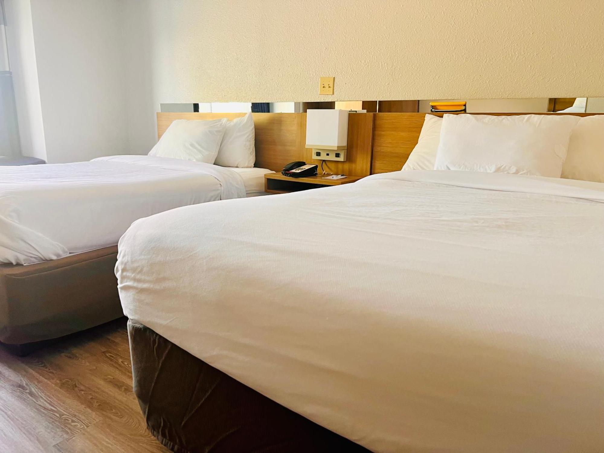 Microtel Inn By Wyndham Lexington Eksteriør bilde